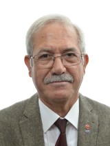 Hamza Demir (V)
